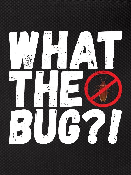 Pest Control Exterminator