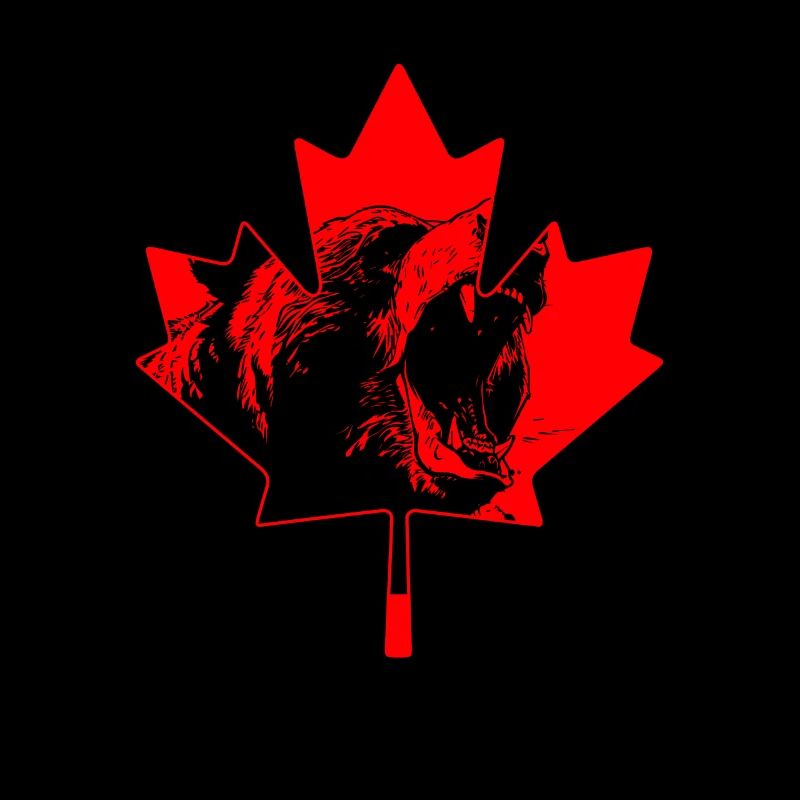 Grizzly Bear Canada Brown Bear Bear
