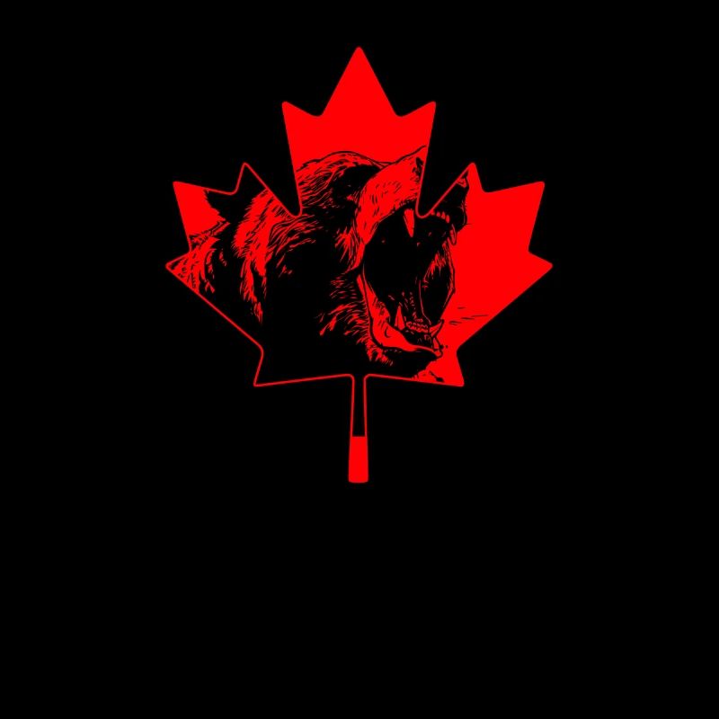 Grizzly Bear Canada Brown Bear Bear