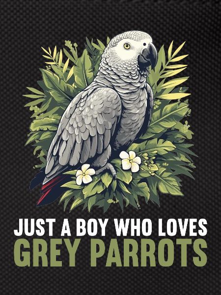 African grey parrots
