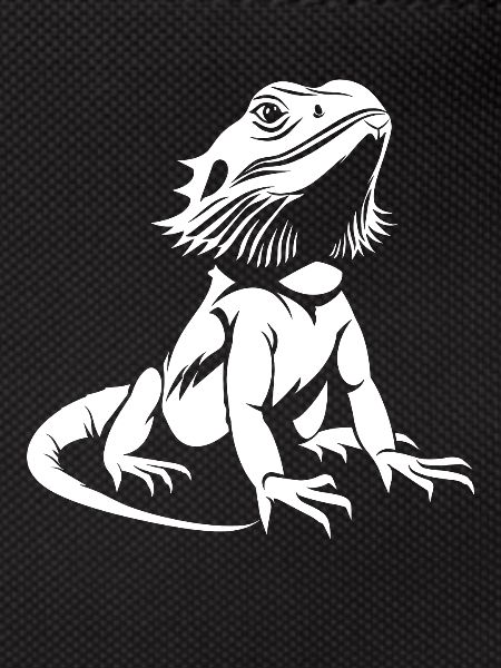 Bearded Dragon