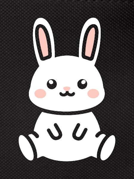 Petit bébé lapin