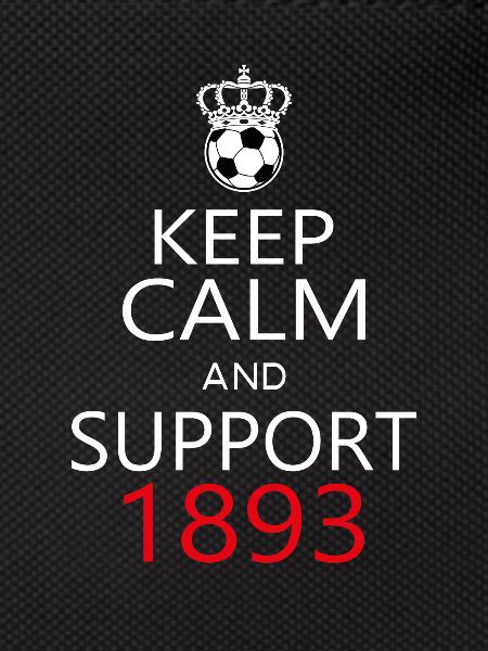 Support 1893