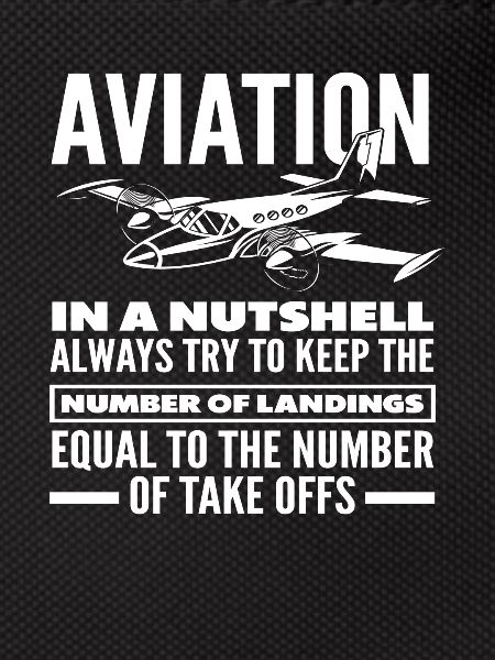 Pilot Aviation Hobby Profession