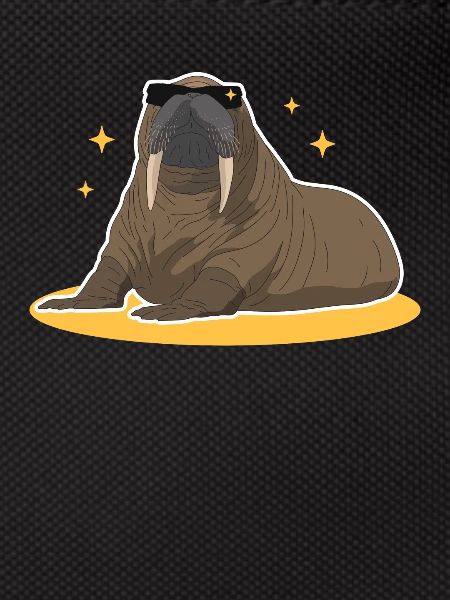 Walrus Walrus Gift