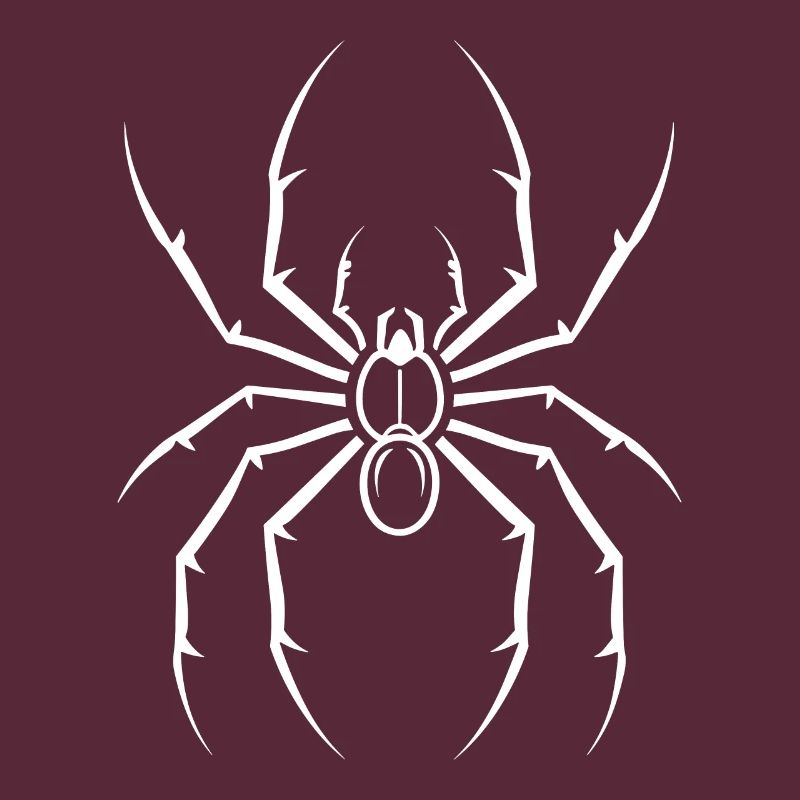 Spinne
