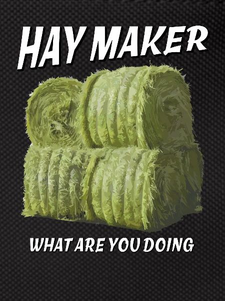 HAY MAKER