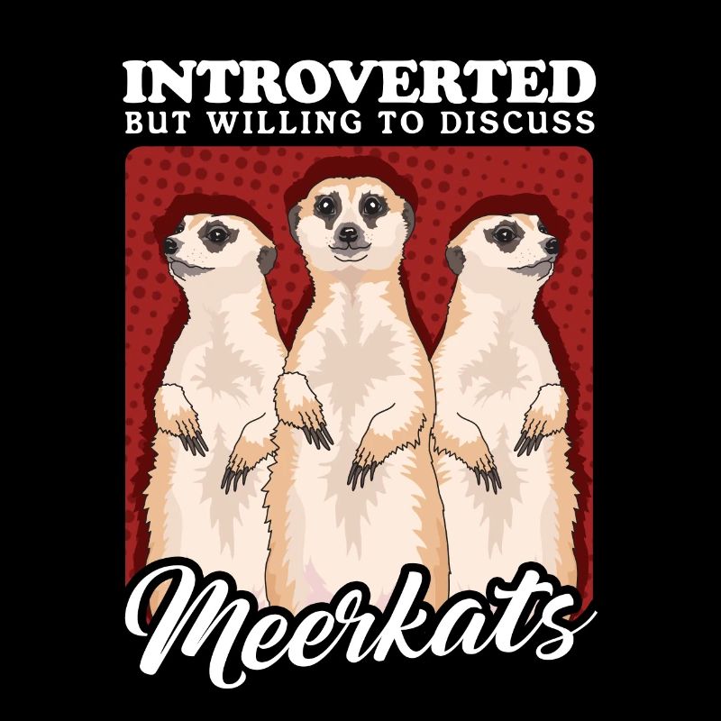 Suricate drôle suricate