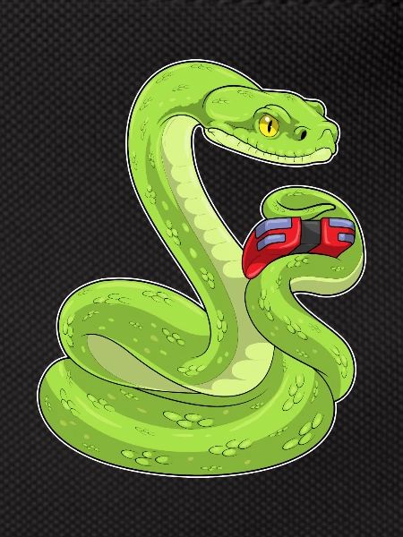 Snake Gamer Controller