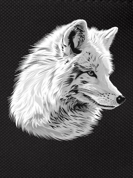 Arctic Fox Polarfüchse Polarfuchs
