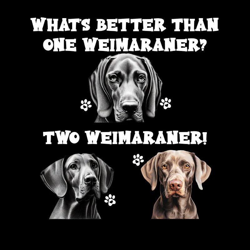 Whats better than one Weimaraner two Weimaraner