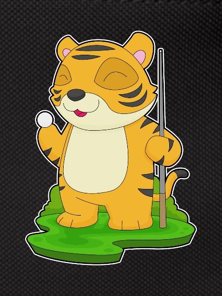 Queue de billard Tiger