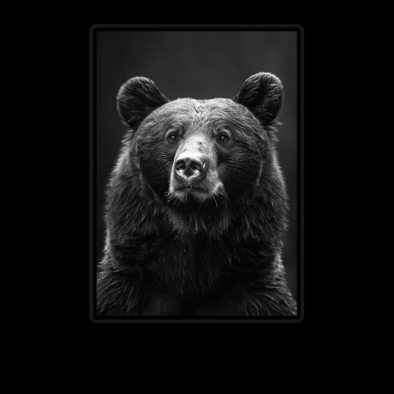 Ours Bären Bär