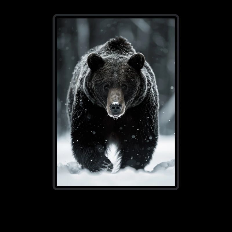 Ours Bären Bär