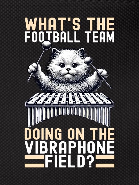 Vibraphon, vibraphonist
