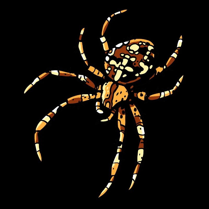 Araignée croisée