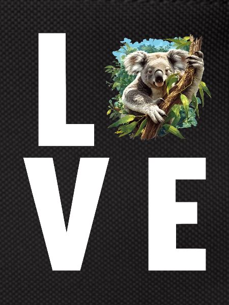 Koalas Koala