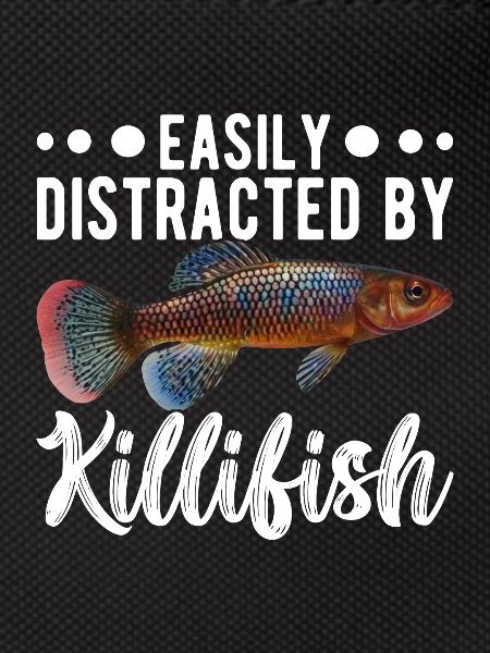 Killifish Quarium Fish