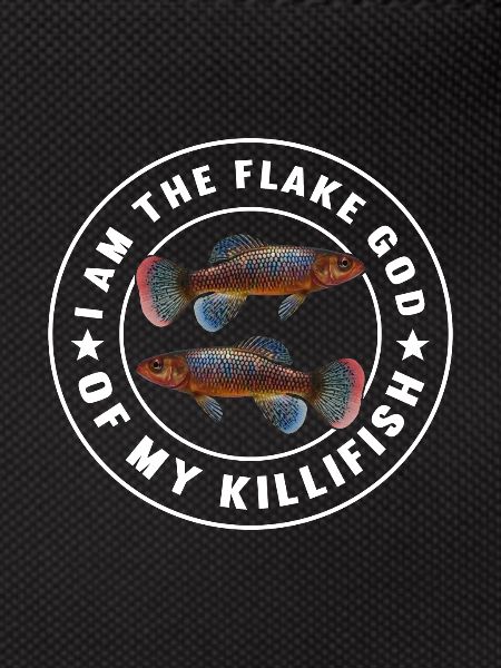 Killifish Quarium Fish