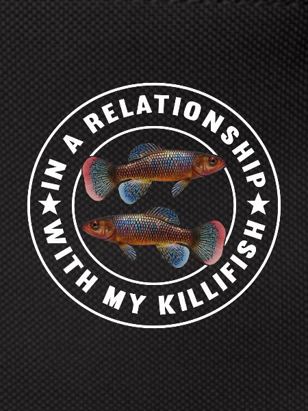 Killifish Quarium Fish