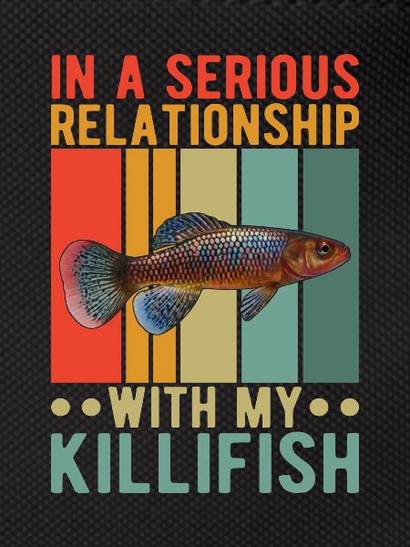 Killifish Quarium Fish