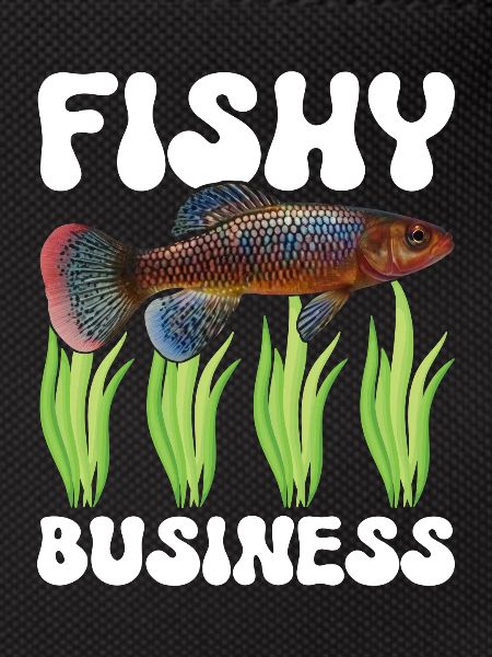Killifish Quarium Fish