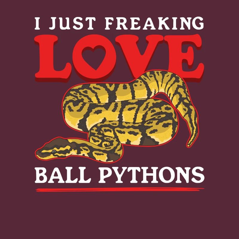 Königspython Schlangen Python Geschenke