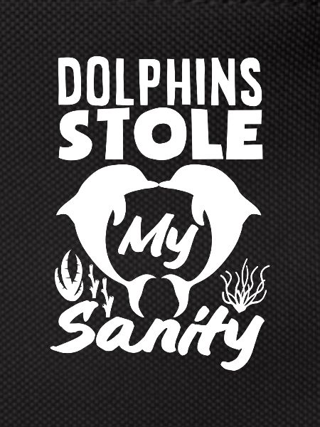 Dolphins stole my reason
