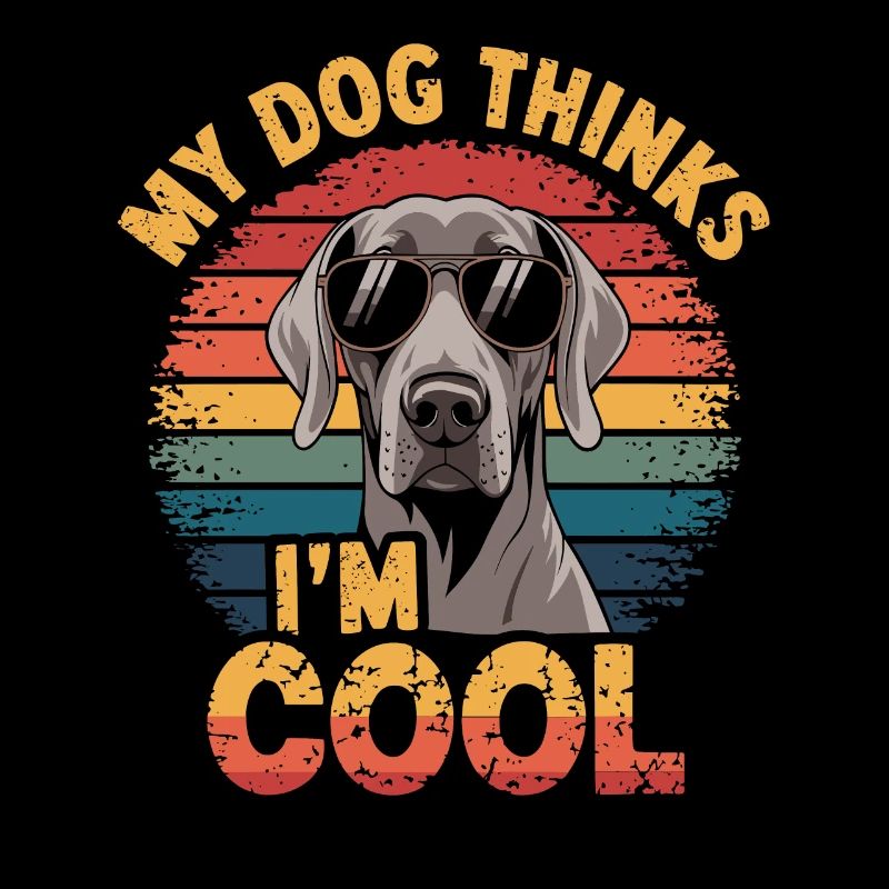 Braque de Weimar Mon chien pense que je suis cool