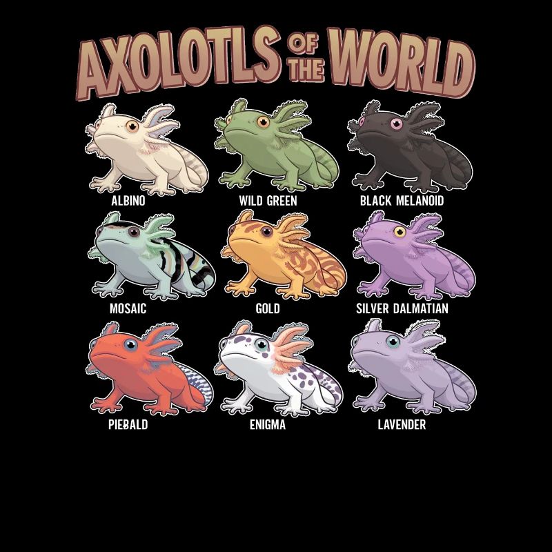 Axolotls Der Welt Süßer Anime Salamander