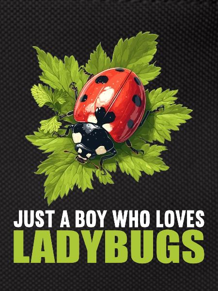 Coccinelle Marienkäfer