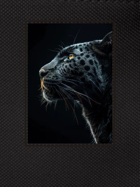 Panthers Panther