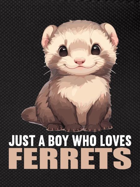 Ferret Frettchen