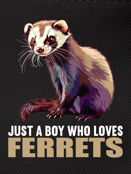 Ferret Frettchen