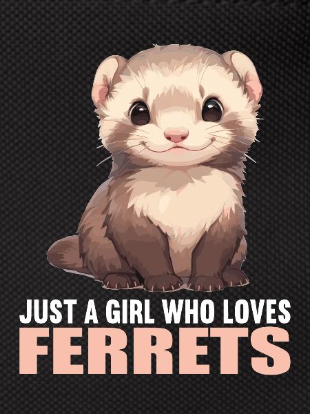 Furet Frettchen