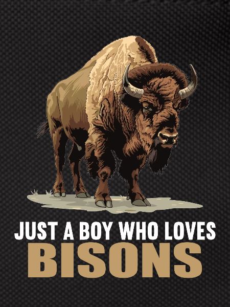 Bisons Bison