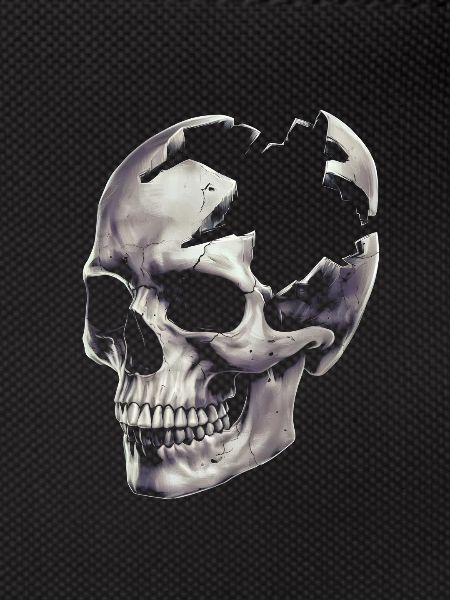 Destroyed skull