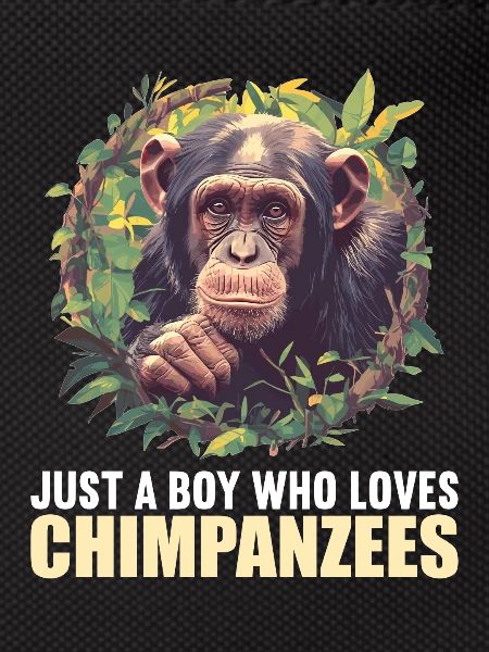 Chimpanzee Schimpansen Schimpanse