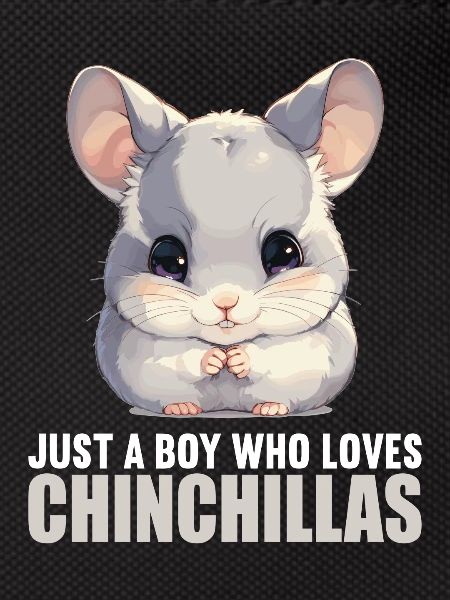 Chinchillas Chinchilla