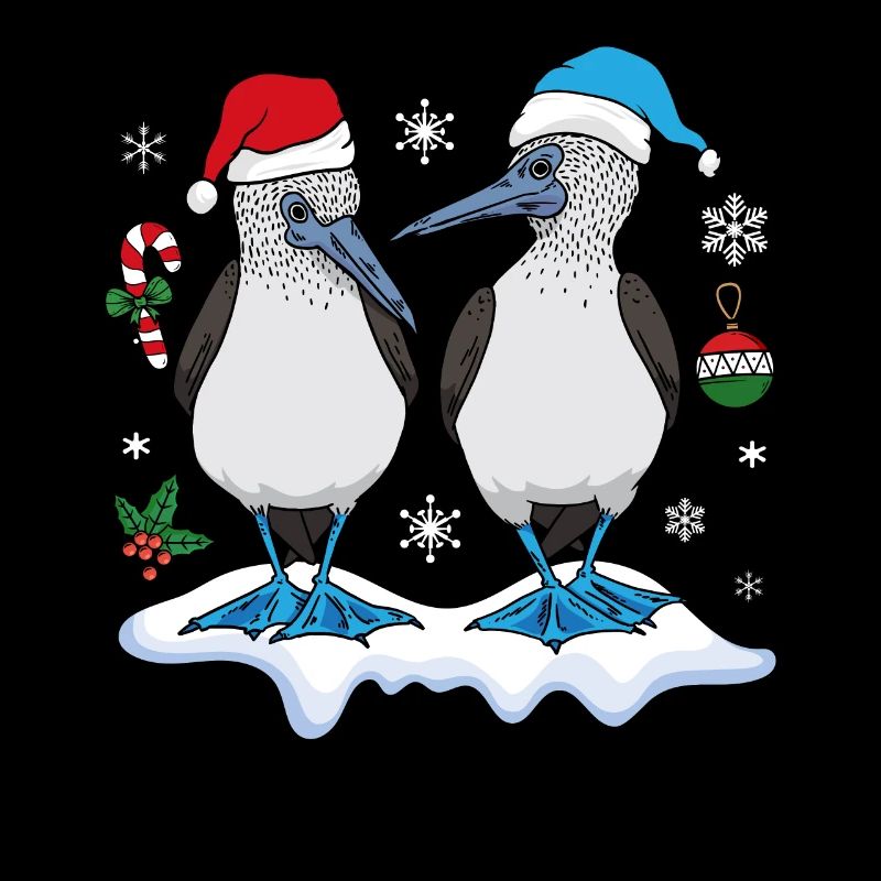 Blue-footed boobies seabirds Christmas