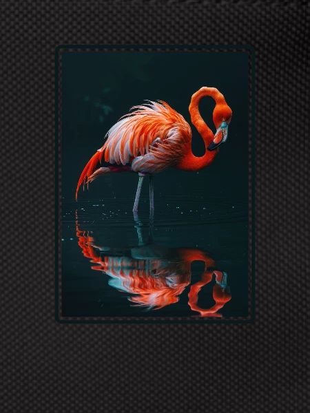 Flamingos Flamingo