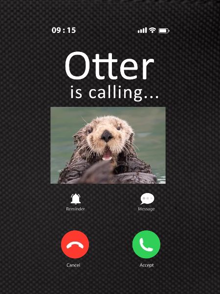 Otter Phone Display Otter Is