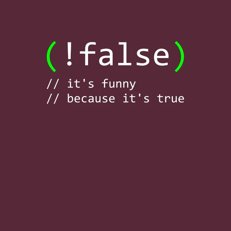 Programmierer Humor false true funny Nerd Geek