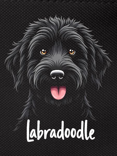 Labradoodle Friendship