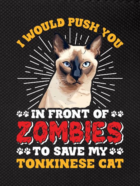 Chat tonkinois
