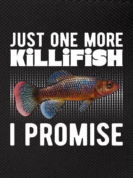 Killifisch Aquarium Fish Lovers