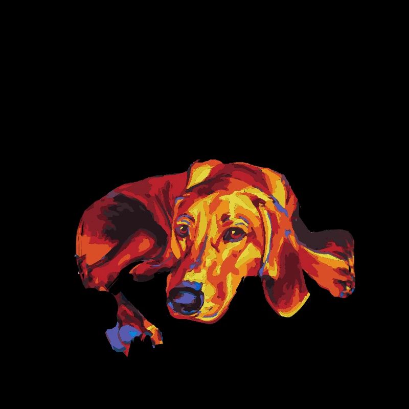 Redbone Coonhound Ate My Homework