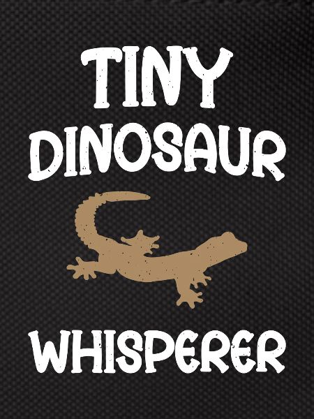 Tiny Dinosaur Whisperer