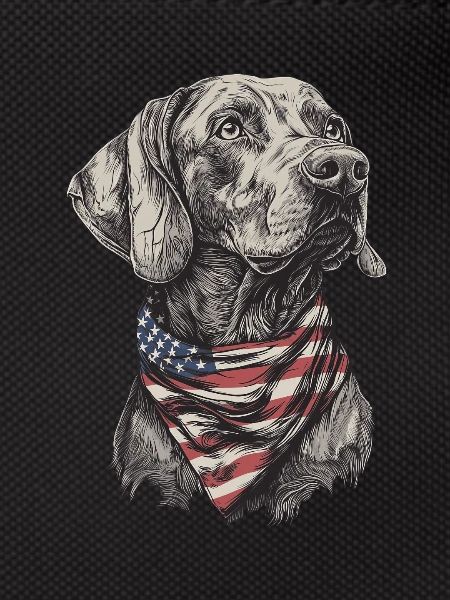 Weimaraner