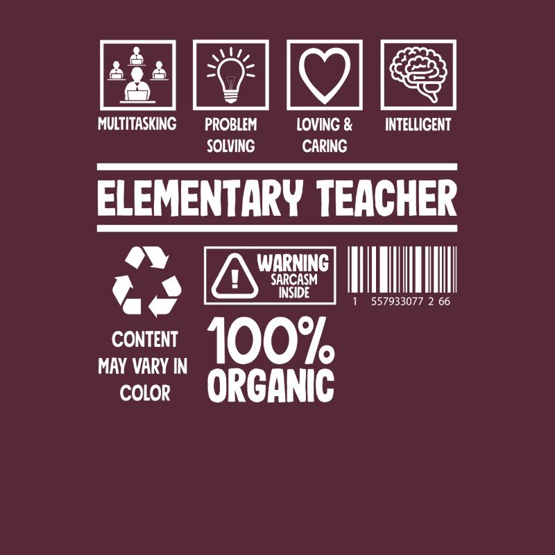 Elementary School Teacher Multitasking Problem Solving